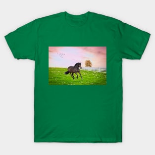 Black Stallion at Dawn T-Shirt